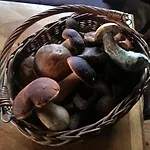 Natura Apartman Swaderki