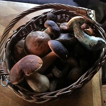 Natura Appartamento Swaderki