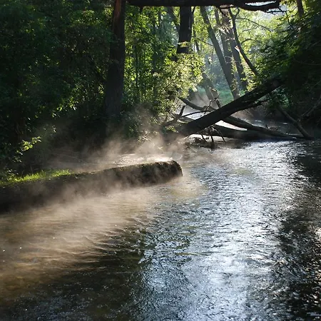 Natura Swaderki