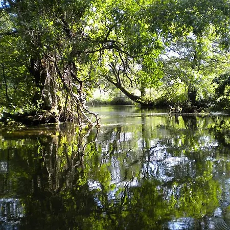 Lägenhet Natura Swaderki