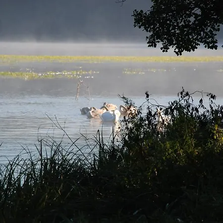 Natura