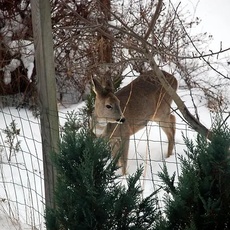 Lägenhet Natura Swaderki