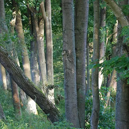 Natura Lägenhet Swaderki