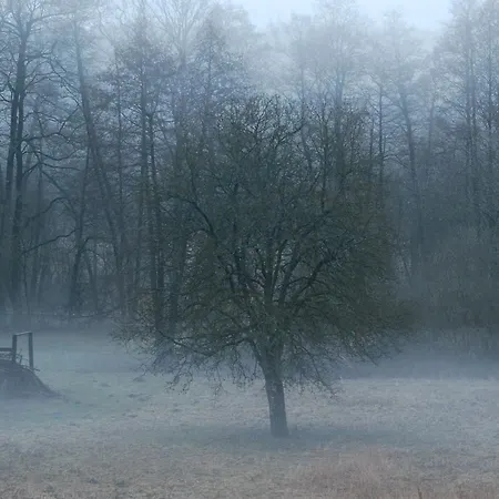 Natura Lägenhet