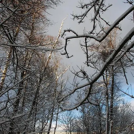 Natura Swaderki